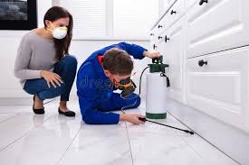 Best Pest Control for Multi-Family Homes  in Proctor, MN