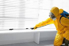 Best Bed Bug Extermination  in Proctor, MN